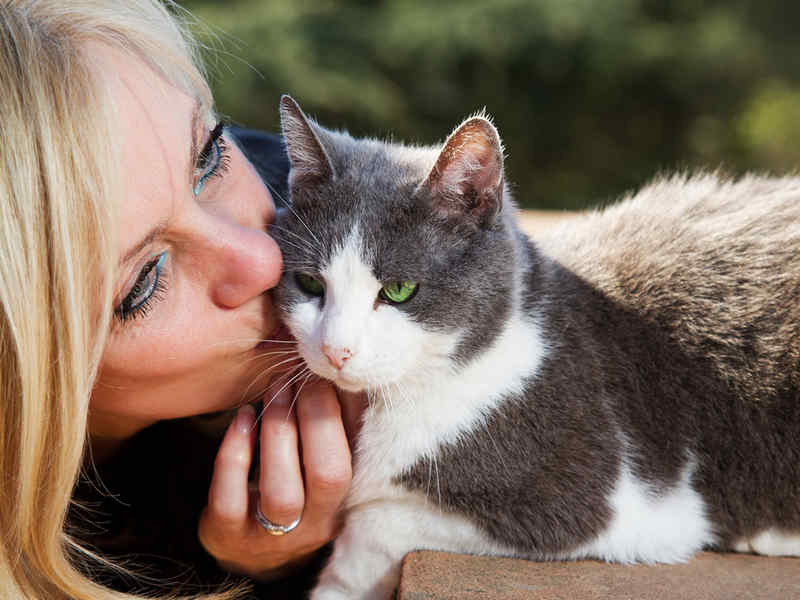 giornata mondiale del gatto